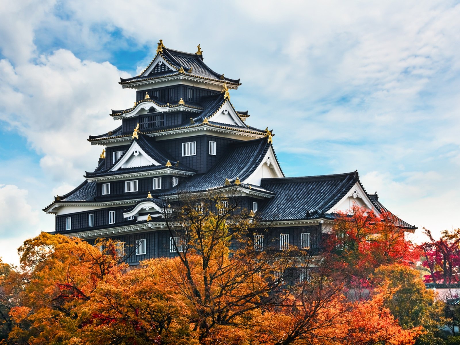 ⛩️ 오카야마현 호국신사(오카야마켄 고코쿠진자) 이미지 8